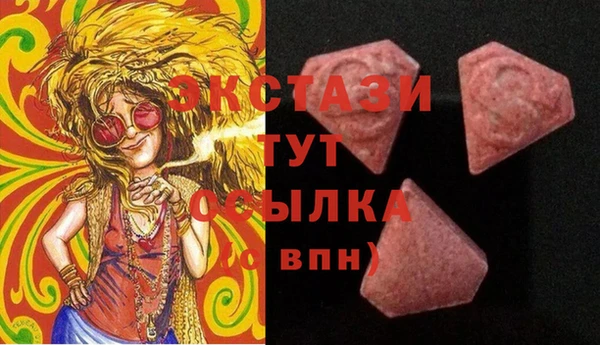 стаф Верея