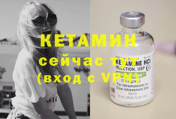 стаф Верея