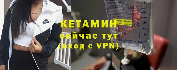 стаф Верея