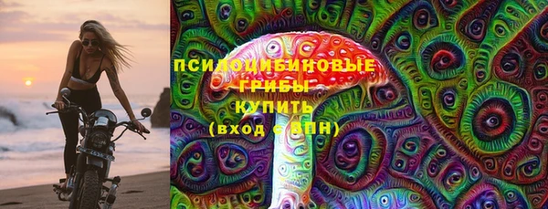 spice Володарск