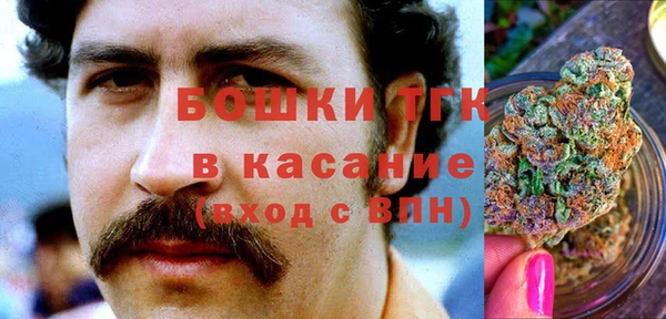 стаф Верея