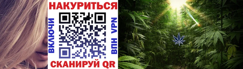 Купить  Чулым  МАРИХУАНА Amnesia 